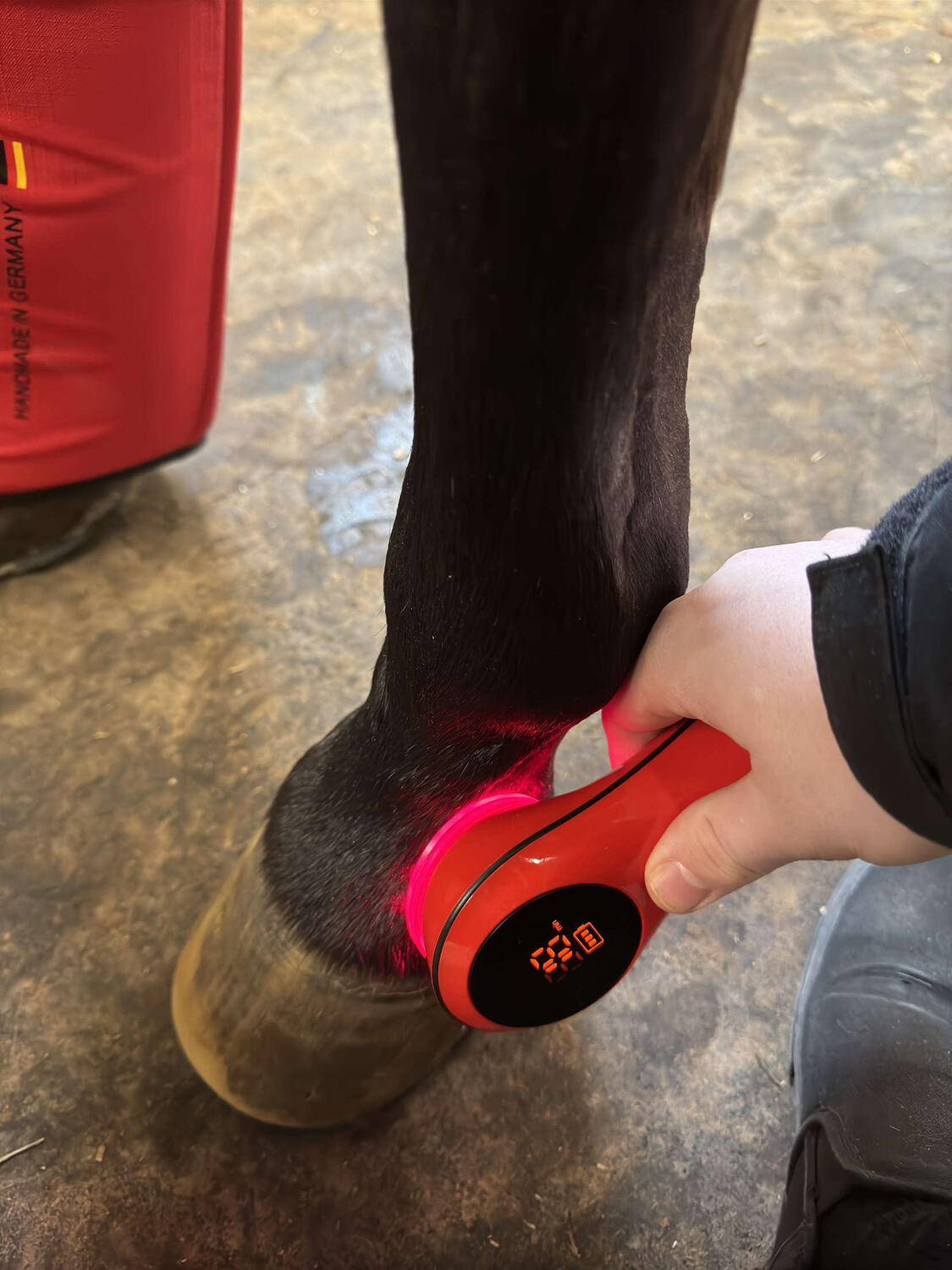 Red Laser (Cold Laser Therapy)